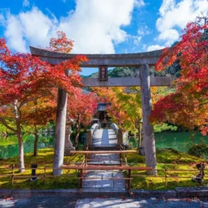 Japan Discovery: 6 Days 5 Nights Tour