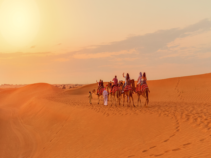 Route: Dubai – Abu Dhabi (Special Highlights: The View At The Palm – Qasr Al Watan – Chillout Ice Lounge)