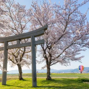 Japan Express: 4 Days 4 Nights Discovery Tour