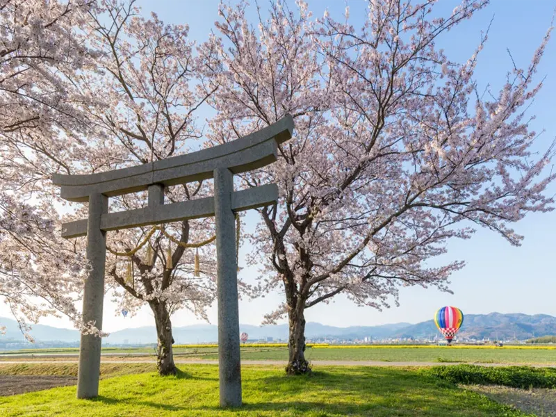 Japan Express: 4 Days 4 Nights Discovery Tour